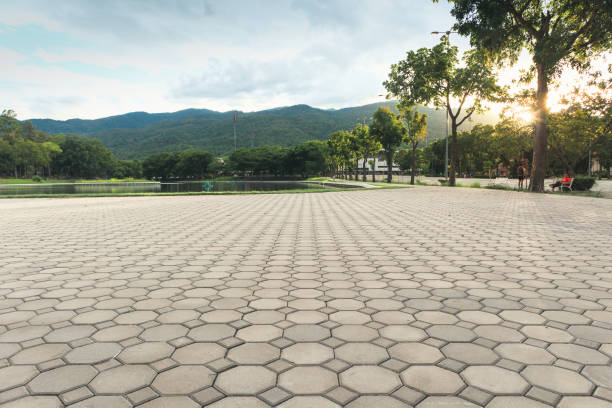 Best Driveway Pavers Installation  in Lake Fenton, MI